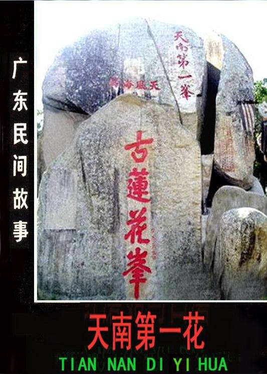 天南第一花
