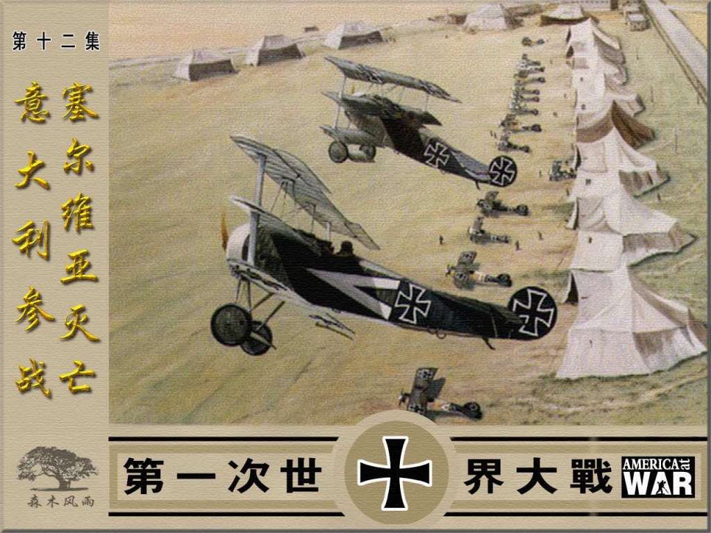 第一次世界大战12意大利参战塞尔维亚灭亡