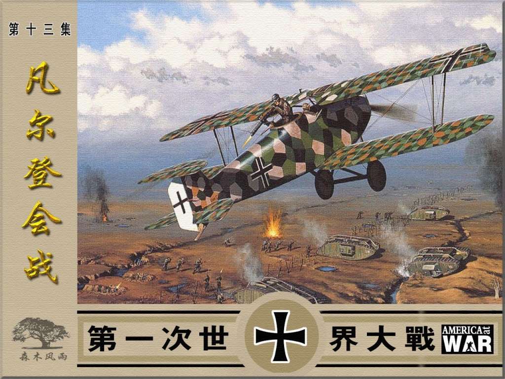 第一次世界大战13凡尔登会战