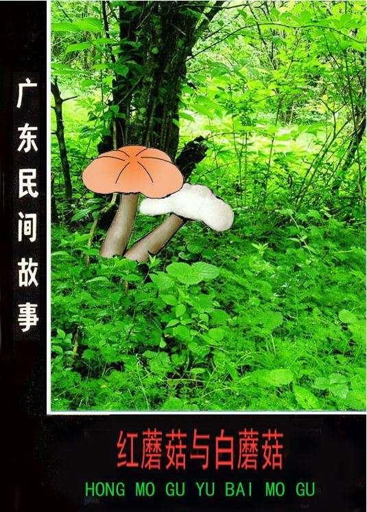 红蘑茹与白蘑茹