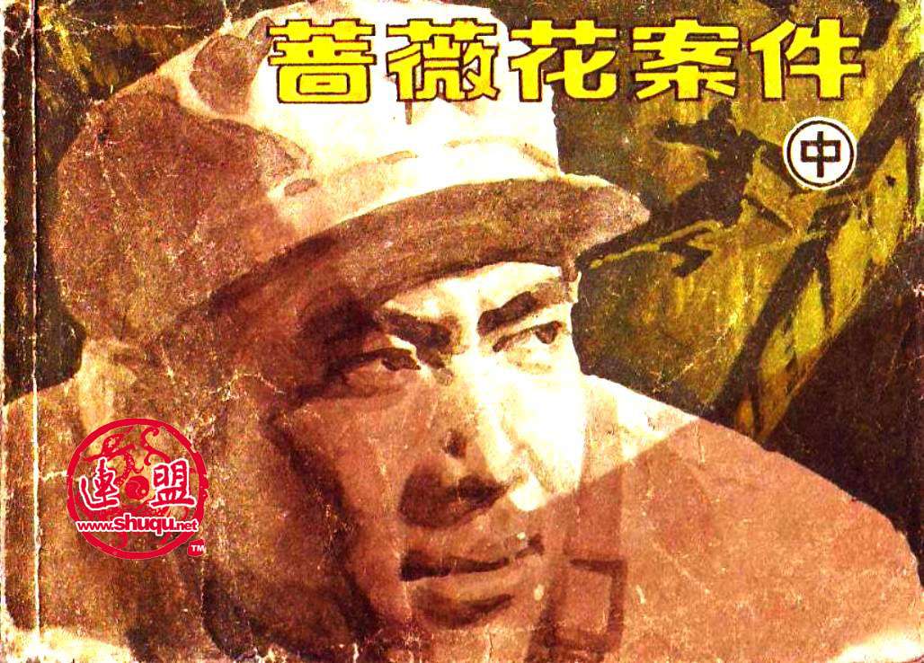 蔷薇花案件（中）